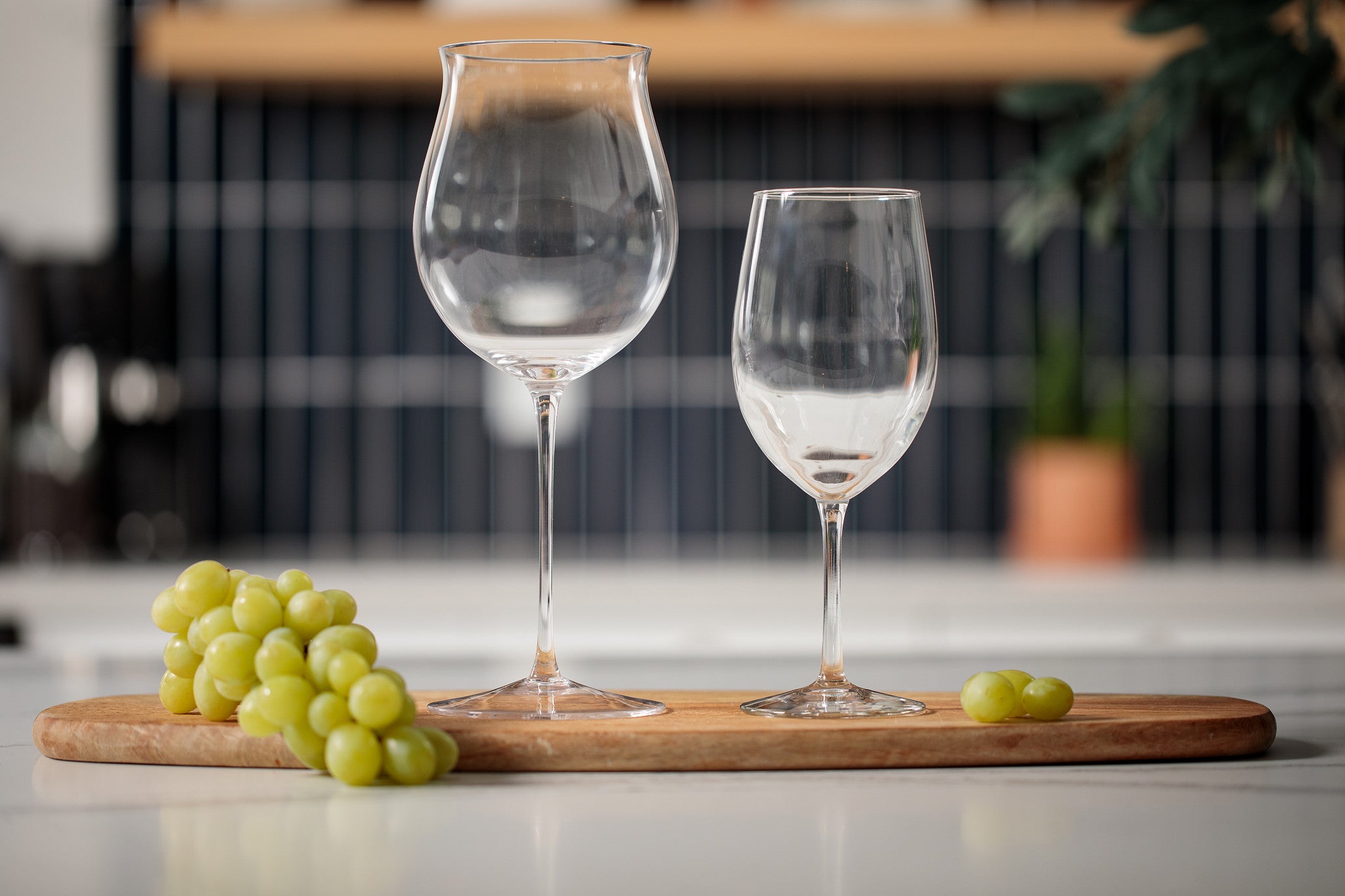 BigWineGlasses.com
